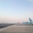 제주메이리조트 | 스누피가든,몽탄제주, 런던베이글 제주 매장취식,제주 오션스퀘어콘도,중국식 가정식 제주 로이앤메이