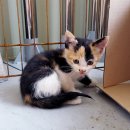 대박이2 이미지