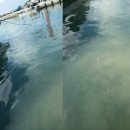오수공방