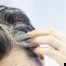hair the gray