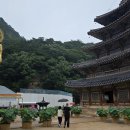 법주사 - 1597 | 법주사