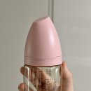 배앓이 젖병 추천 티지엠 PPSU 밀알 젖병 신생아 사용후기