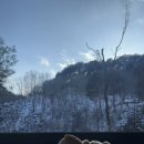 소월숲스테이