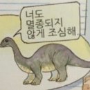 서울건우정형외과의원 | 봉합/ 봉합 후기/ 봉합 주의할점/공릉 정형외과/ 태릉 정형외과/ 서울여대 정형외과/ 과기대 정형외과/