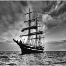 셀러스트 이미지