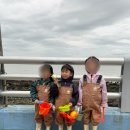 나만의 드립백 만들기 A | [진도 여행 #2] 아이와 함께한 진도 2일차 맛집 투어부터 운림산방, 신비의 바닷길 축제까지!!