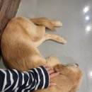 냠냠쩝쩝 이미지