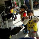 공세초등학교(병설) 이미지