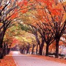 송정현대주유소 이미지