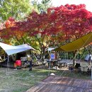 월출산 천황야영장 이미지