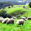 준서축산 이미지