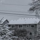 정연치과의원 이미지