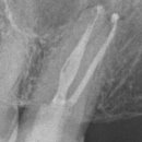 서울하이치과의원 이미지