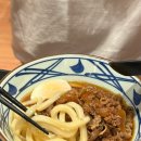 타마우동 | 🍜 잠실 마루가메 우동 - 니쿠타마 우동 & 규동 솔직후기
