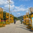 용대관광지2 이미지