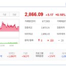 플레이트비 이미지