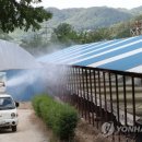 양돈농장 이미지