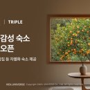 제주 휴식 자쿠지 감성숙소 이미지