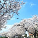 울산동천고등학교 이미지
