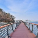 바다산책 이미지