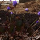 병학농장 이미지