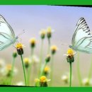 재활나라 이미지