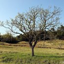 폴라리스야영장 이미지