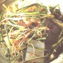 향-고향의 봄 이미지