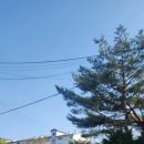 일동승진마트