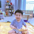 (주)씨드그룹 | 노래하는 크레용 10개월 방문수업 후기 | 연년생 형제 4살 5살