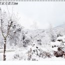 행복한 날 | 겨울에도 함께! 애견동반 캠핑장,알지캠프266 눈 내리는 날 더 행복한 후기