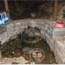 자은약수터 이미지