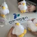 합자회사 동국관광 | [GLOTA] 글로타는 무역견학에서 어떤걸 배우고 왔을까❓(1)인천항 편