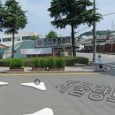 스프링데이봄날 이미지