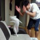 SG스크린골프 삼리점 | 대전 세종 논산 골프샵 마루망 SG 드라이버 구매솔직후기