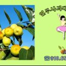 세중농장 이미지