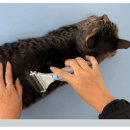 그루밍케이 이미지