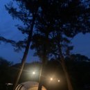 솔바다캠핑장 | [인천/영흥도] 장경리해수욕장 근처 솔바다캠핑장 2박