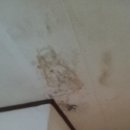 럭키무지개 이미지