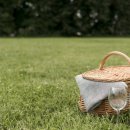 (주)웰빙투어 이미지