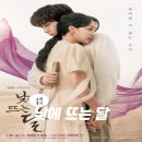 낮에뜨는달 | 낮에 뜨는 달 드라마 후기 시대를 넘어선 사랑 차후 넷플릭스 공개