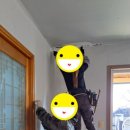 인비리경로당 네이버블로그