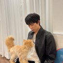 화이트쿤스트 이미지