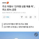 보배여행사 이미지