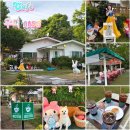 114 | [우디 1155] 경북 성주 카페 | 애견동반 카페 | 대구...대구 인근 애견동반 | 성주 카페 | 내돈내산 후기