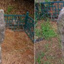 원항목 입구 이미지