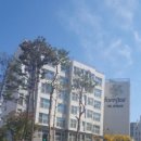 포레스타 이미지