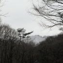 백운장목욕탕 네이버블로그