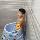 자르죠