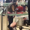 대륙통상 | 젯스타 시드니 후기 및 티켓 공홈 결제시 주의점 (DCC 환율수수료)